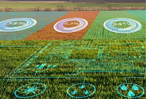 Gewächshaussteuerung durch einen Digital Twin
